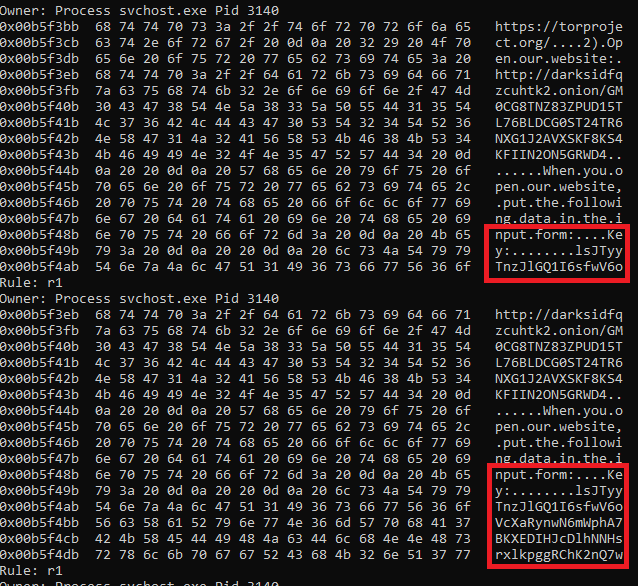 Обнаруженные строки в памяти процесса