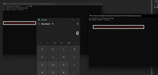 Контроль выполнения полезной нагрузки