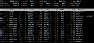 Как заддосить сайт неприятеля