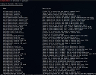 Скрытое управление компьютером на Windows, адовая статья