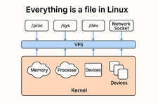 Почему в Linux всё — файл?
